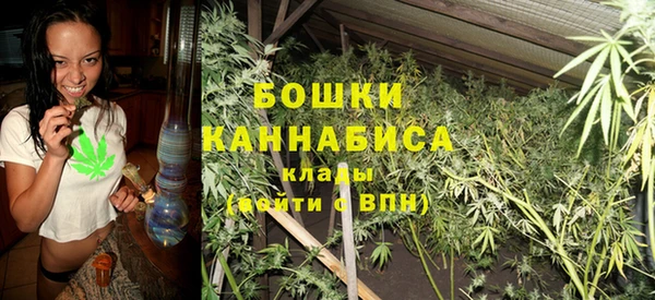 шишки Бугульма