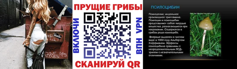 Галлюциногенные грибы GOLDEN TEACHER Вихоревка