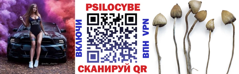 Галлюциногенные грибы мицелий  закладки  Вихоревка 